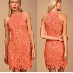 Worn once! Lulus Floral Lace Halter Neck Bodycon dress. Size medium!